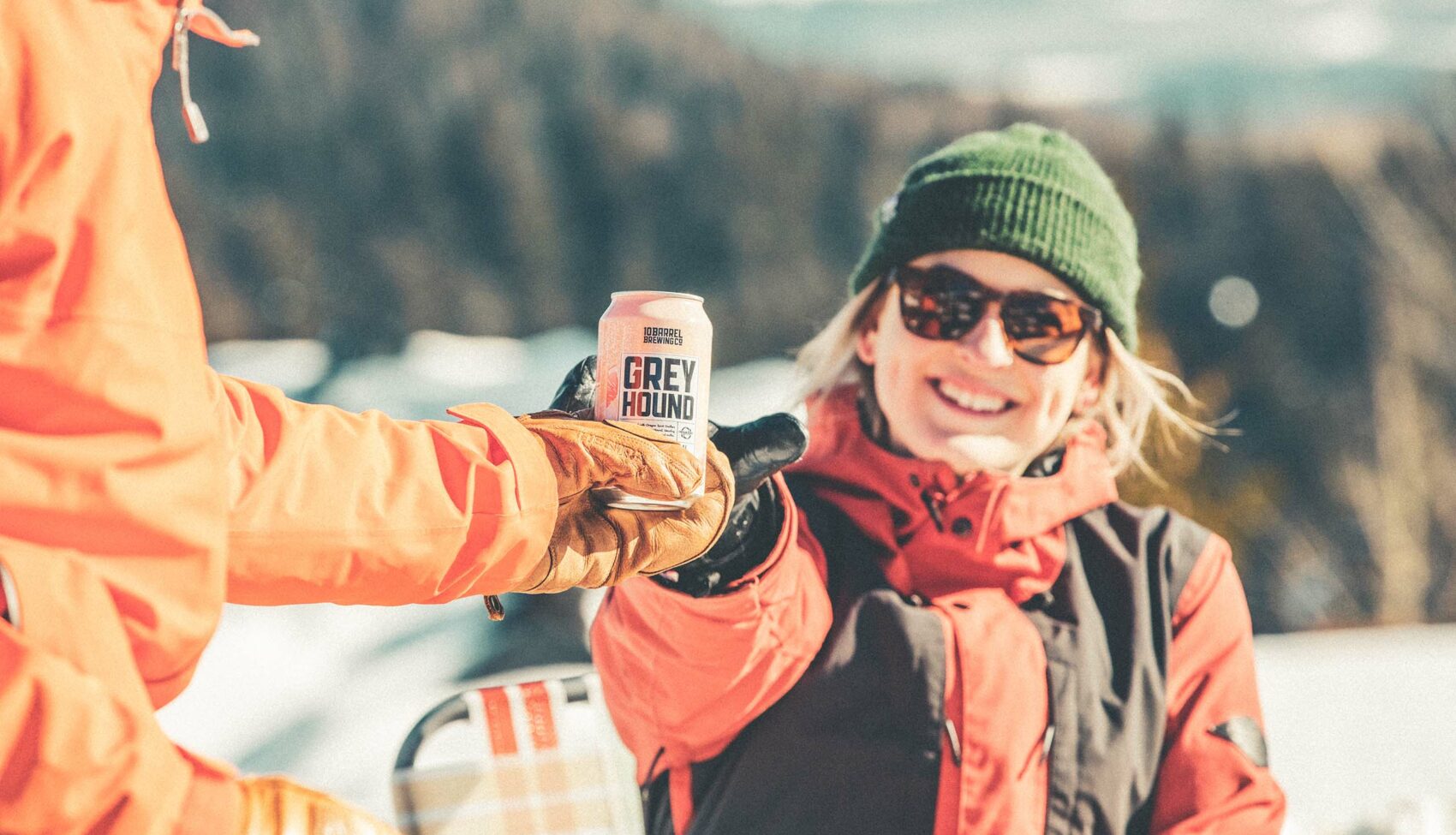 Learn More about Grey Hound